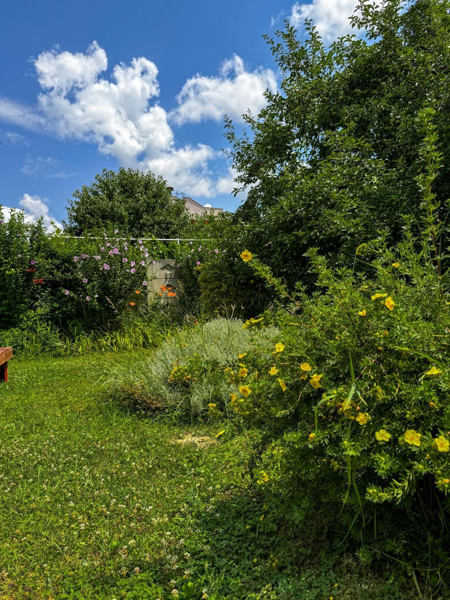 Pensiunea Vila Silva I Haţeg Exterior foto